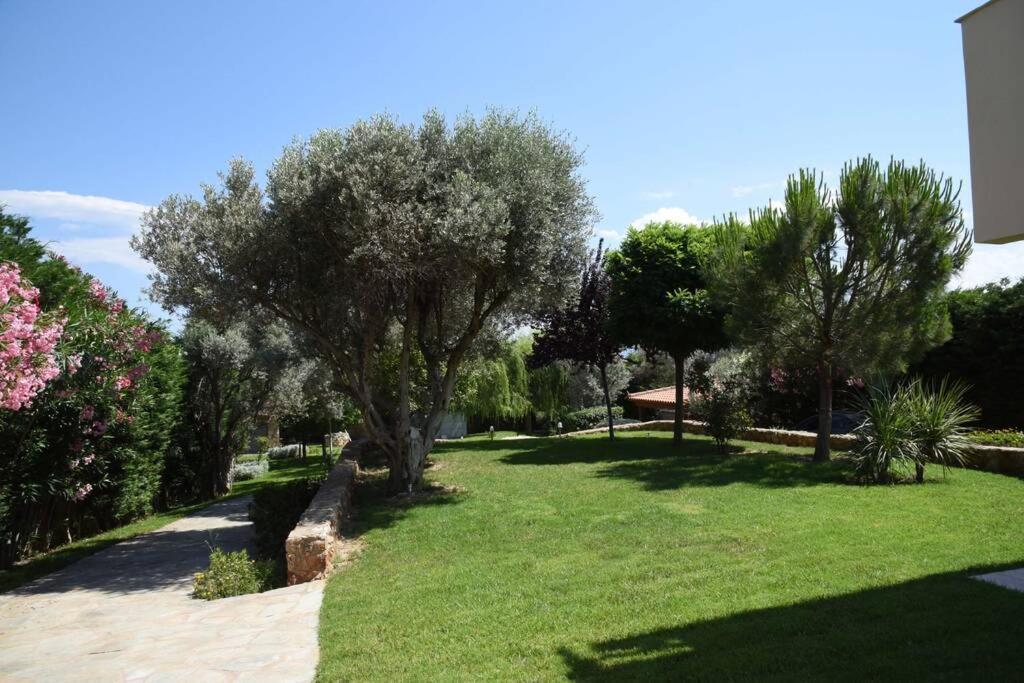 Seaside Villa Andronikos Amarynthos Dış mekan fotoğraf
