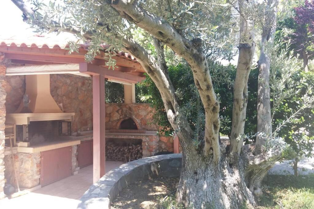 Seaside Villa Andronikos Amarynthos Dış mekan fotoğraf