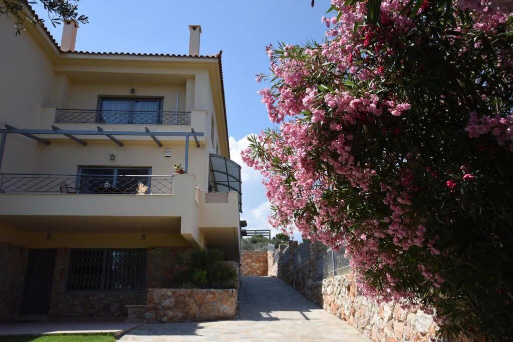 Seaside Villa Andronikos Amarynthos Dış mekan fotoğraf