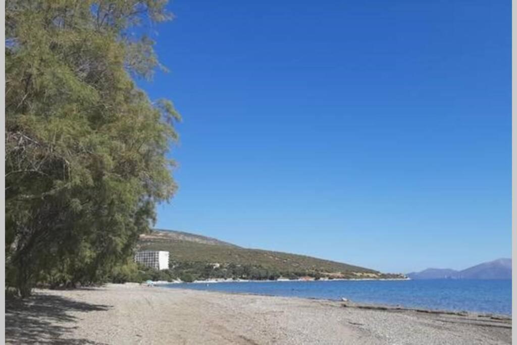 Seaside Villa Andronikos Amarynthos Dış mekan fotoğraf