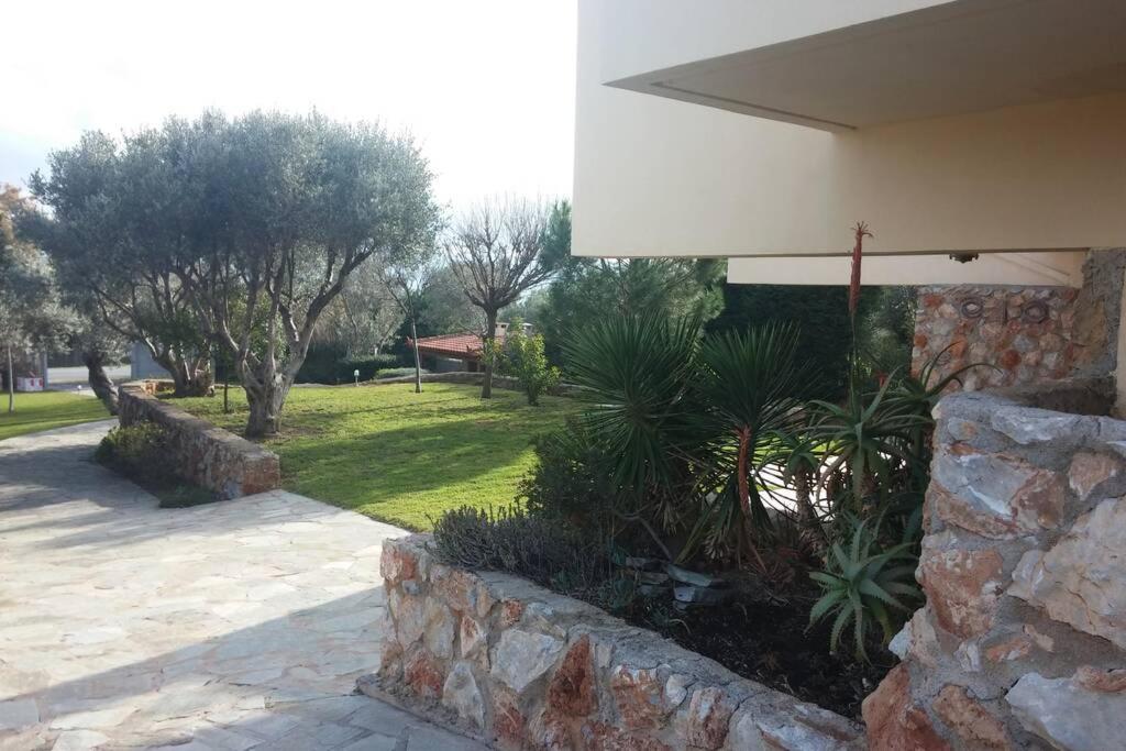 Seaside Villa Andronikos Amarynthos Dış mekan fotoğraf