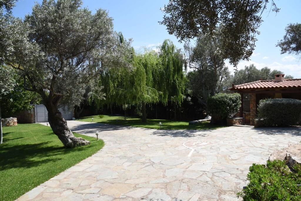 Seaside Villa Andronikos Amarynthos Dış mekan fotoğraf
