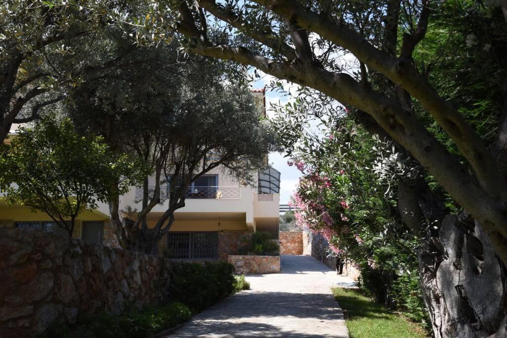 Seaside Villa Andronikos Amarynthos Dış mekan fotoğraf