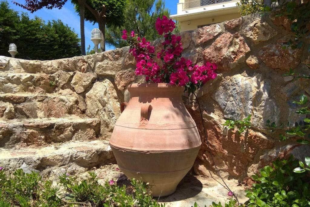 Seaside Villa Andronikos Amarynthos Dış mekan fotoğraf