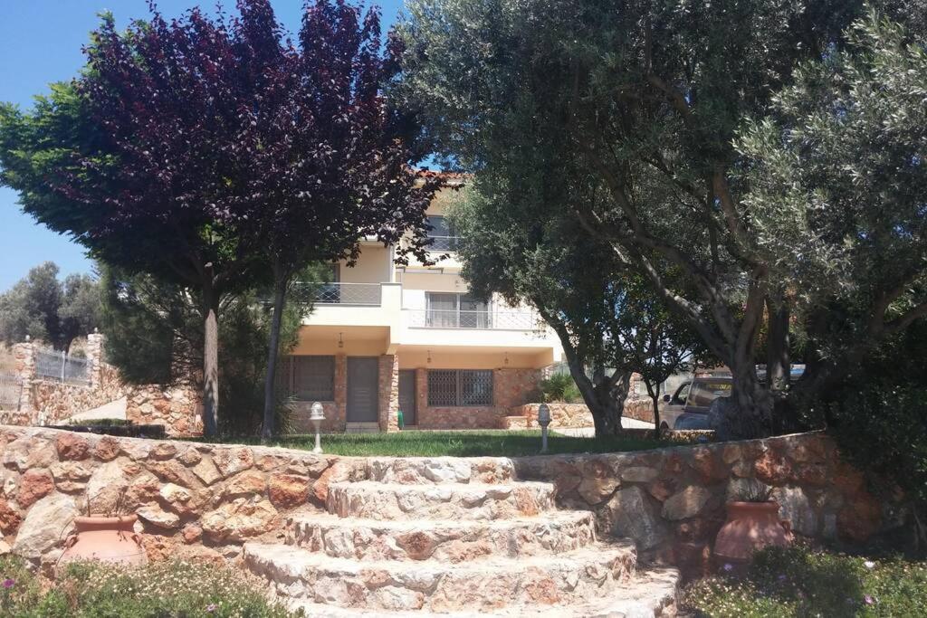 Seaside Villa Andronikos Amarynthos Dış mekan fotoğraf