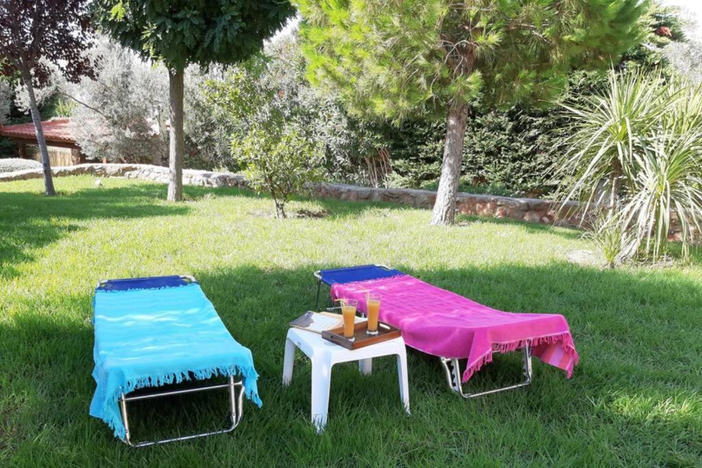 Seaside Villa Andronikos Amarynthos Dış mekan fotoğraf