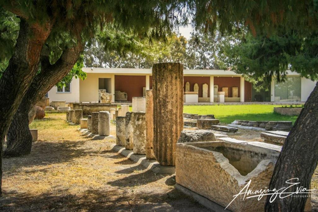 Seaside Villa Andronikos Amarynthos Dış mekan fotoğraf