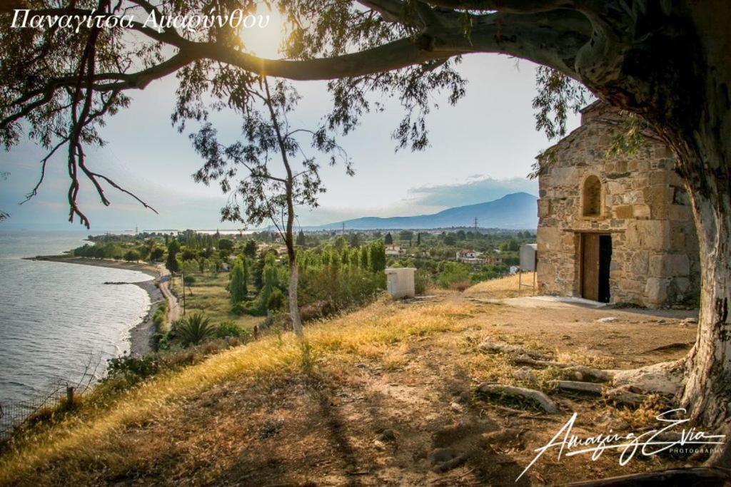 Seaside Villa Andronikos Amarynthos Dış mekan fotoğraf